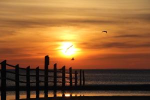 zwei Vögel, die bei Sonnenuntergang über dem Meer fliegen in der Unterkunft Ferienwohnungen Pachal in Prerow