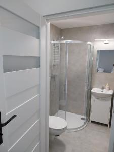 a bathroom with a shower and a toilet and a sink at Hostel Anilux in Jelenia Góra