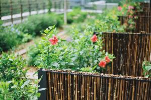 une clôture en bois avec des fleurs rouges dans un jardin dans l'établissement Taihua Wutong Hotel, à Bao'an