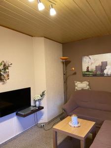 a living room with a couch and a flat screen tv at Ferienhaus Glöckner in Seiffen