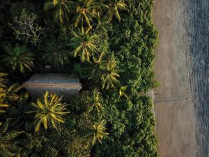 een uitzicht over een bos met palmbomen en de oceaan bij The Resort at Isla Palenque Member of the Cayuga Collection in Boca Chica