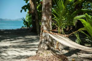 a hammock tied to a tree on the beach at The Resort at Isla Palenque Member of the Cayuga Collection in Boca Chica +63 photos