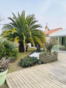 uma casa com palmeiras e um deque de madeira em "VILLA DUPUY" Maison avec jardin clos arboré, 8 personnes, piscine bois privative em Talmont