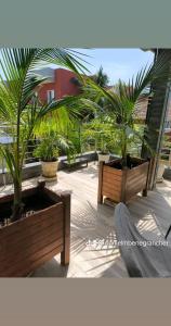 a patio with two benches and palm trees at Club saft saly niakhal niakhal in Mbour