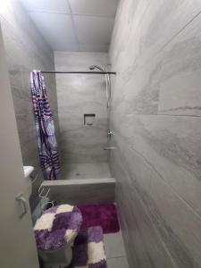 a small bathroom with a shower and a toilet at K&L Private Room Suites in Arima