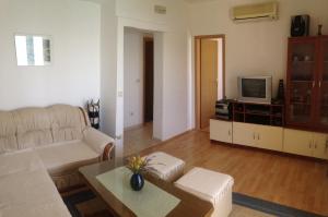 sala de estar con sofá y TV en Apartments Markotic, en Drasnice
