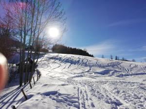 Waldherrhof talvel