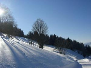 Waldherrhof talvel