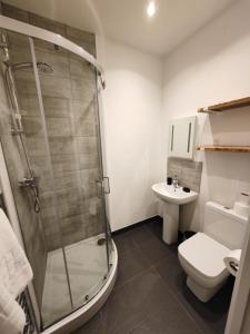 a bathroom with a shower and a toilet and a sink at 404 Bayard Plaza 2 Bedroom Apartment with Outside terrace in Peterborough