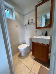 ein Badezimmer mit einem WC, einem Waschbecken und einem Spiegel in der Unterkunft vakantiewoning Heidehoek in Middelkerke
