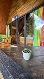 a potted plant sitting on a table on a patio at Fair View Cottage in Ella