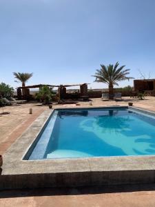 a large blue swimming pool with palm trees in the background at Maison Boutchrafine in Erfoud