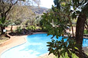 a large blue swimming pool with a tree at Entabeni Mountain Lodges in Golders Green