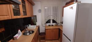 eine Küche mit einer Spüle und einem Kühlschrank in der Unterkunft domek jelenia góra in Jelenia Góra