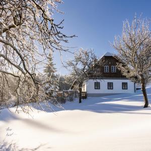 un granero blanco en la nieve con árboles en Das Haus am Berg: Nestelberg17, en Lackenhof