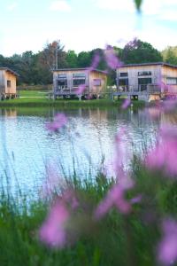 um grupo de casas junto a um lago com flores roxas em Écolodges du Golf du Sauternais em Saint-Loubert