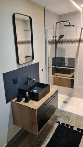 uma casa de banho com um lavatório preto e um espelho em Gîte du Riez em Jujurieux