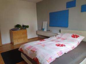オスナブリュックにある4 Zimmer Wohnung zentral in Osnabrückのベッドルーム1室(ブルーボードの壁掛けベッド1台付)