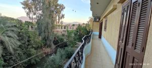 balkon z widokiem na rzekę i drzewa w obiekcie ali habou w mieście Luksor