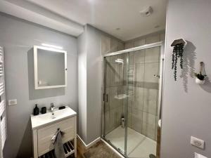 une salle de bain avec une douche en verre et un lavabo dans l'établissement Appartements Climatisés Centre-ville / 10 personnes, à Besançon