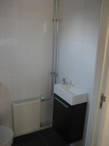 ein Bad mit einem Waschbecken und einem WC in der Unterkunft Modern zomerhuis voor 4 personen in Wijk aan Zee