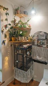 a room with two cages with plants on shelves at Private Double Bedroom in front of the Galway Port - Guest House in Galway