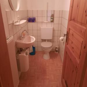 een kleine badkamer met een toilet en een wastafel bij Haus Maria in Todtnau