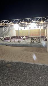 a group of cows in a barn at night at Discovery Camp Bidiya in Badīyah