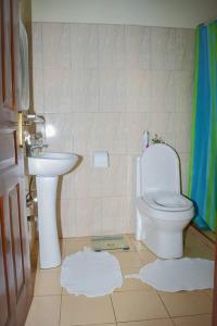 a bathroom with a toilet and a sink at The Luxurious Farm House in Kiambu