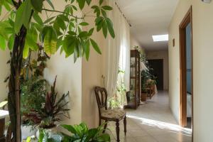 a hallway with a chair and lots of plants at B&B Iris in Laterza