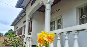 a yellow flower in front of a house at Akagera guide's House in Kabarondo