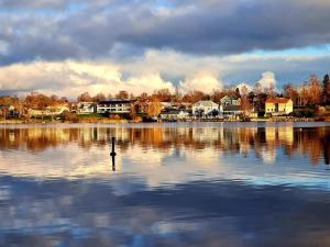 Un uccello in piedi in mezzo a un lago di Sininen Hetki Bed& Breakfast majoitus meren äärellä a Kaskö