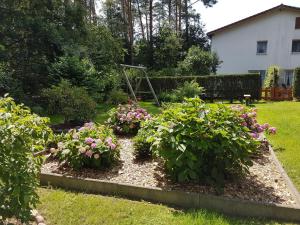 a garden with pink flowers in a yard at Ferienwohnung Inge Grahl in Lenz