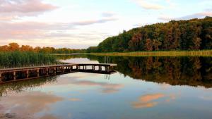 a bridge over a lake with trees in the background at Bungalow 