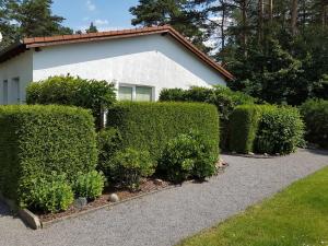 a house with hedges in front of a building at Ferienwohnung Inge Grahl in Lenz