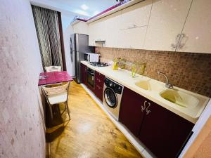 una pequeña cocina con fregadero y lavavajillas en Ganclik apartment by Baku housing en Bakú