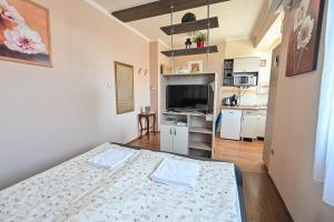 a small room with a bed and a kitchen at BellaVista 1 Apartman in Eger
