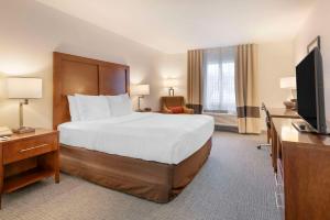 um quarto de hotel com uma cama e uma televisão em Comfort Inn & Suites Carbondale on the Roaring Fork em Carbondale