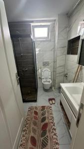 y baño con aseo, lavamanos y alfombra. en BVK, en Muğla