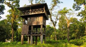 Zahrada ubytování Hotel Nepal Inn Sauraha