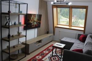 a living room with a couch and a tv at Ski Mont Apartment Jahorina in Jahorina