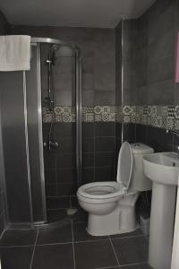 a bathroom with a toilet and a shower and a sink at happy dreams ekonomik otel in Istanbul