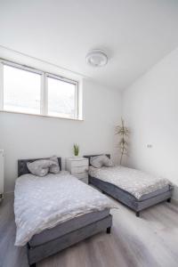 2 Betten in einem weißen Zimmer mit 2 Fenstern in der Unterkunft Gemütliche Ferienhaushälfte im Herzen Mainz in Mainz