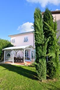 比薩的住宿－Il Villino di Monic，房屋前的棕榈树