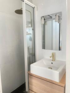 ein Badezimmer mit einem weißen Waschbecken und einem Spiegel in der Unterkunft Au pied de Montmartre in Paris