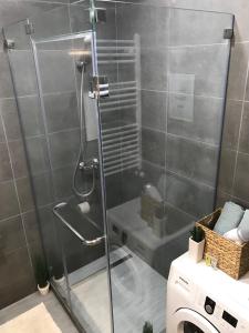a shower with a glass door in a bathroom at Ameri Plaza Green Apartments in Tbilisi City