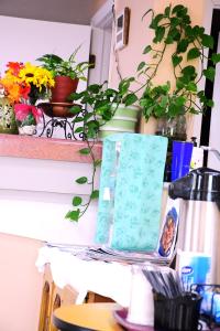 a table with flowers and plants on a counter at Florence Inn and Suites in Florence