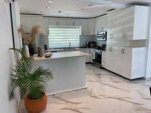 a kitchen with white cabinets and a potted plant at Luxury place playa nueva romana in San Pedro de Macorís