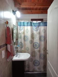 een badkamer met een wastafel en een douchegordijn bij Cabaña La Rosita in Villa Quillinzo
