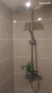 y baño con ducha y planta. en Soirée romantique avec Bain Nordique sur Domaine Equestre, Studio Tout Confort 